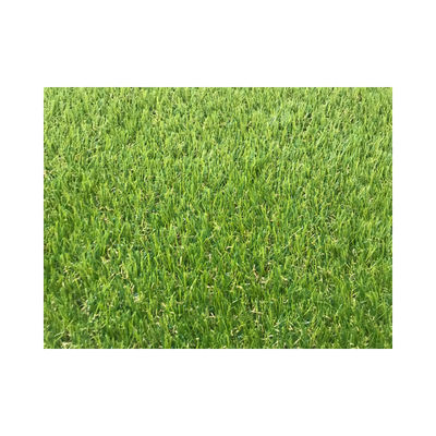 35mm Synthetic Putting Green Turf 3/8 Inch Premium Natural Garden Landscape Golf Artificial Grass Carpet