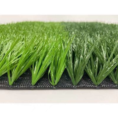 9000D Premium Sepakbola Rumput buatan Karakteristik & penampilan alami
